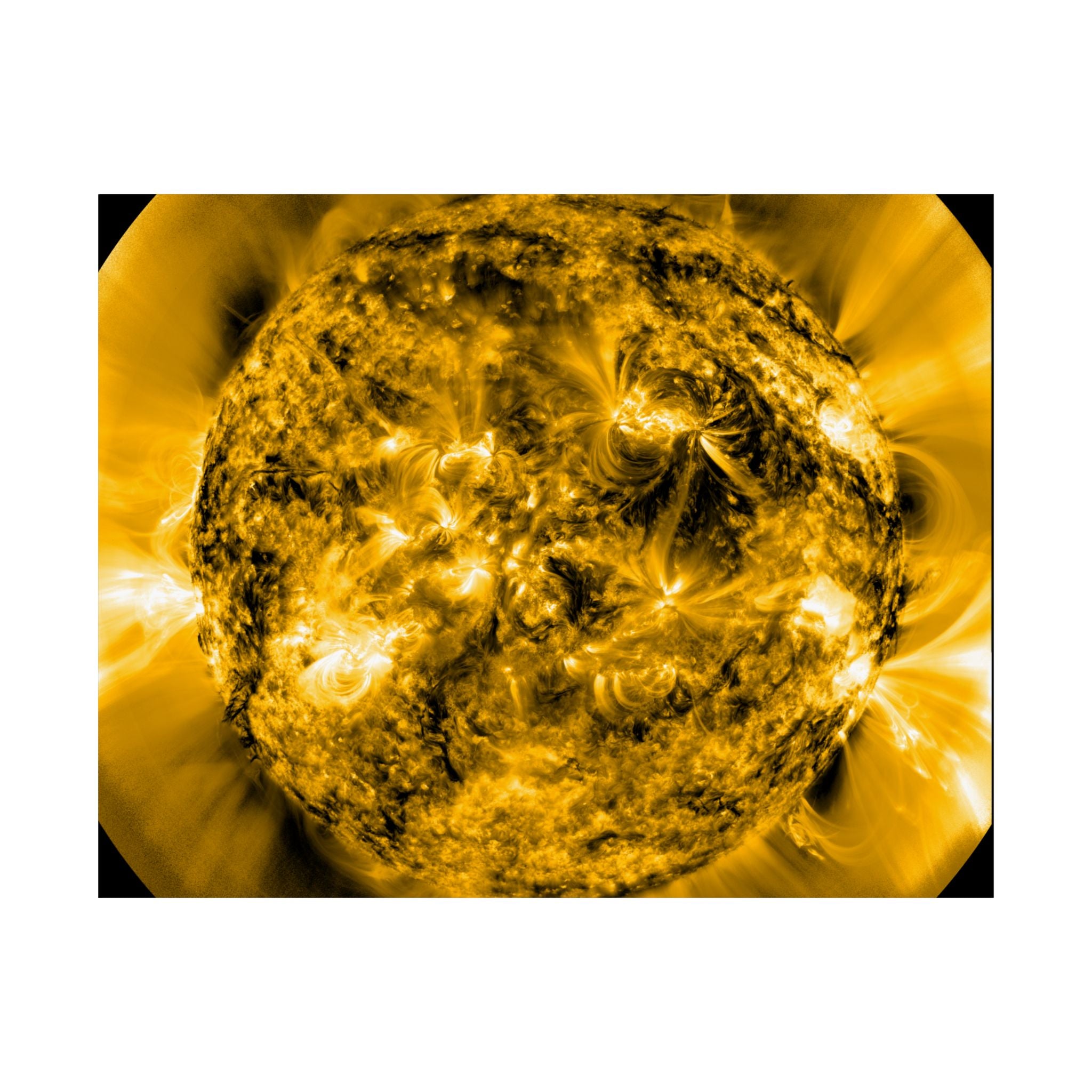 Solar 171Å — 2026-02-06 · Poster — 12×18"